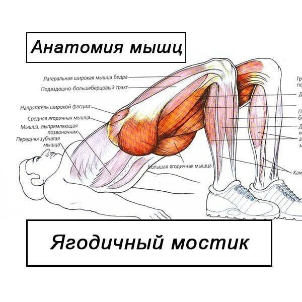 Как долго не кончать и что делать когда быстро кончаешь