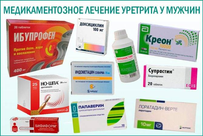 ТОП-5 самых лучших трав для повышения потенции у мужчин