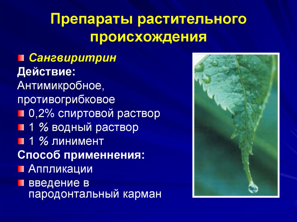 Растительные препараты для повышения потенции у мужчин