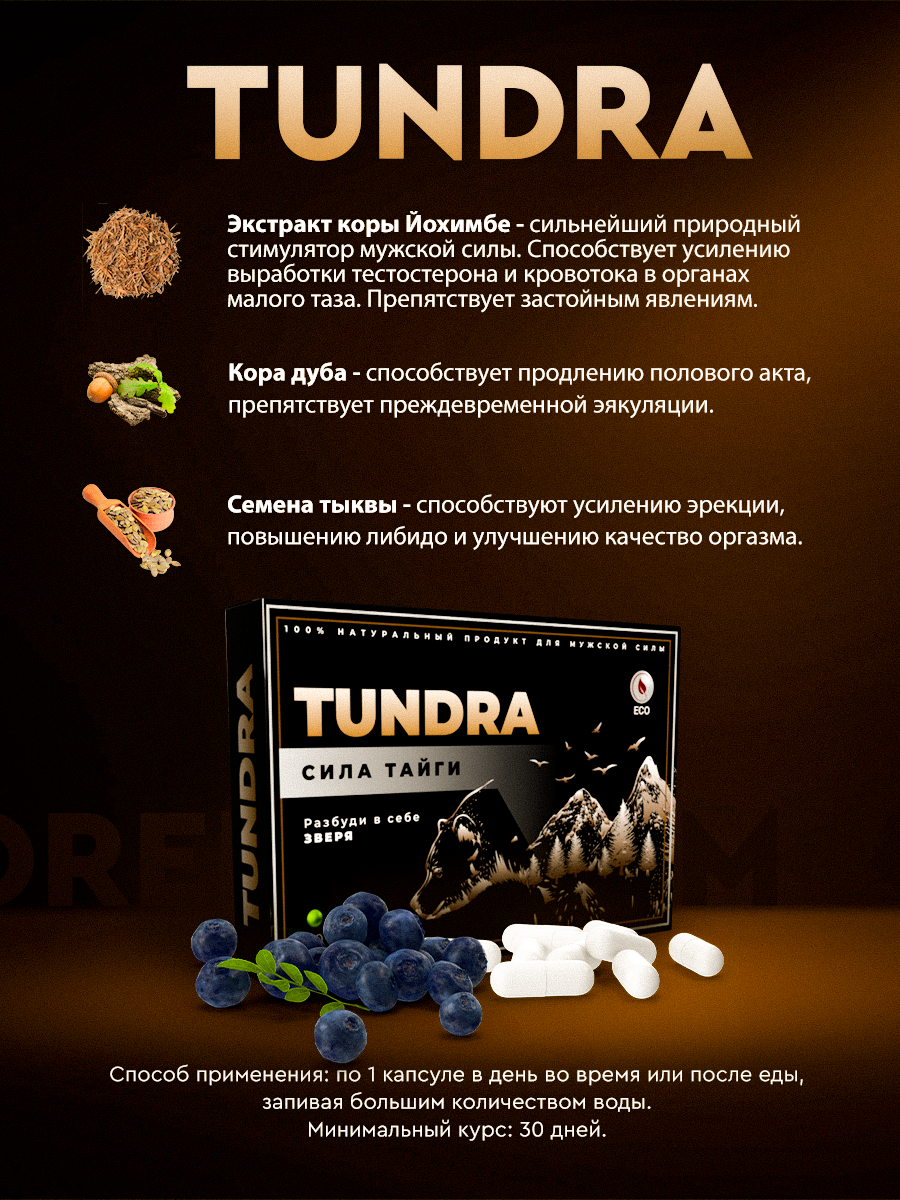 Таблетки Тундра сила тайги развод для мужчин. Отзывы и цены