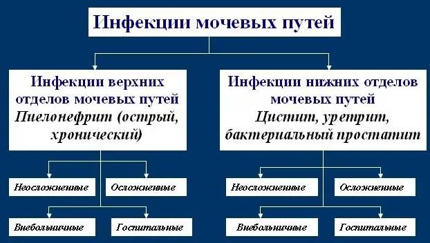 Растительные препараты для повышения потенции у мужчин