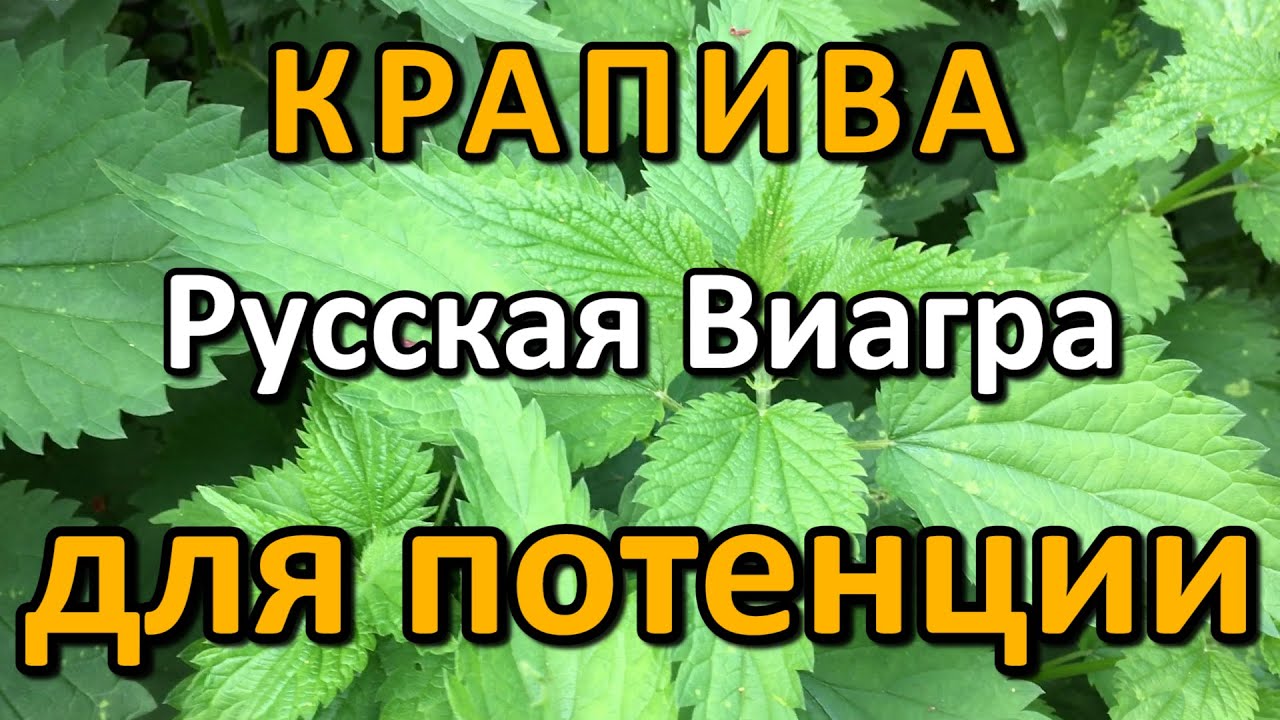 Аналогов Виагры для мужчин, дешевые заменители из аптек, список и.