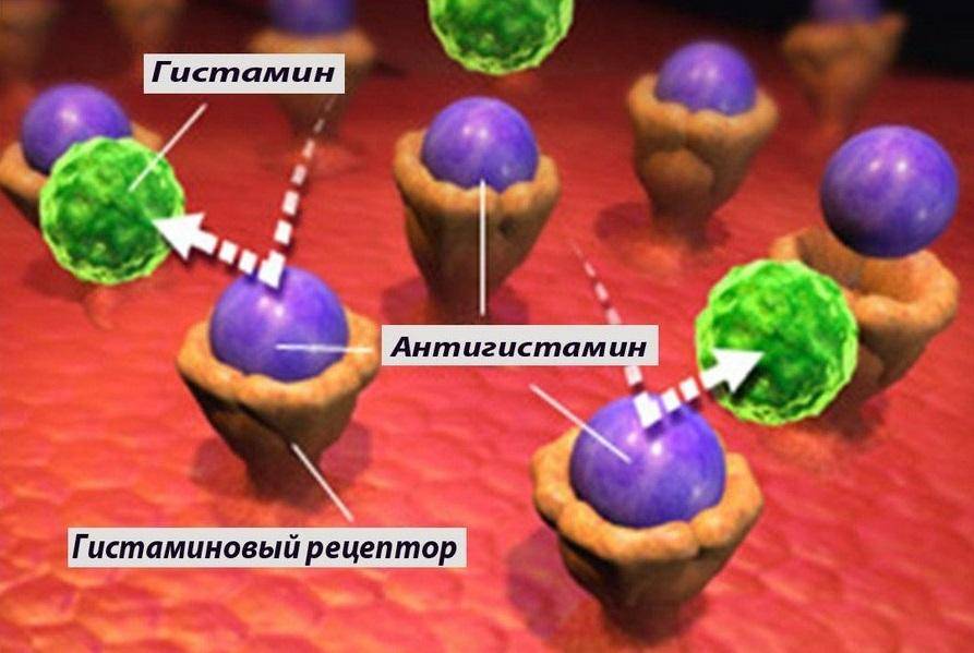 Какие средства повышают потенцию - OAM