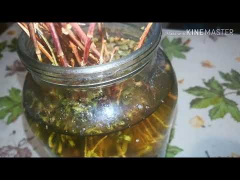 Лучших аналогов Виагры - рейтинг 2023