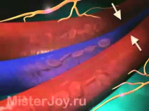 Бюджетное учреждение Омской области - Аптека-Справка