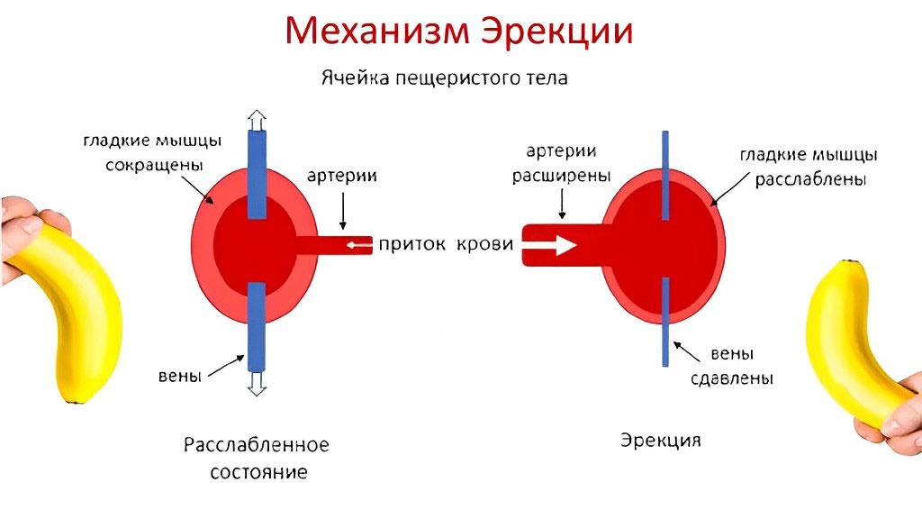 Хитростей как долго не кончать мужчине, в каких позах.